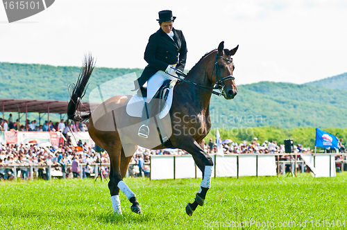 Image of Equestrian sport. female dressage rider