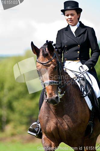 Image of Equestrian sport. female dressage rider