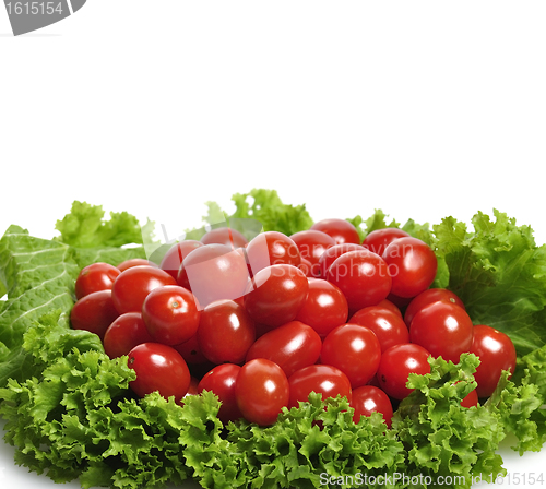 Image of Tomatoes And Salad Leaves