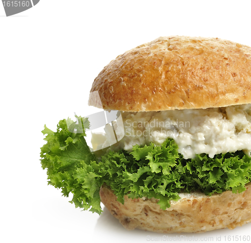 Image of Chicken Salad Sandwich