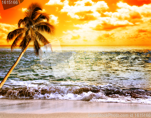 Image of Ocean At Sunset