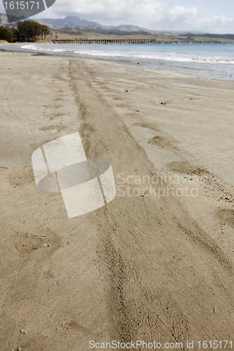 Image of Trail from Elephant Seal on Ocean Shore Sand