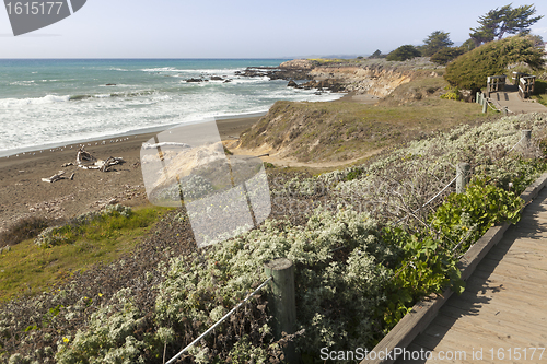 Image of Wooden Walkway Along Ocean Coast