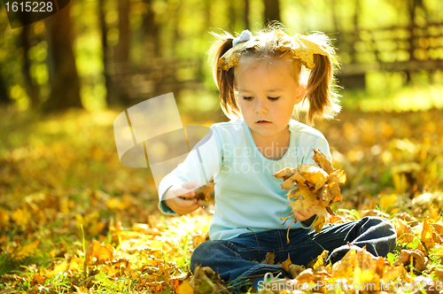 Image of Cute little girl is playing with leaves in park