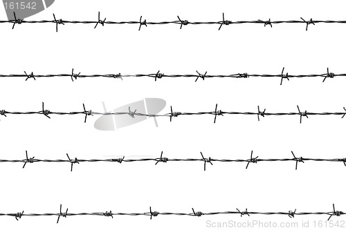 Image of barbed wires