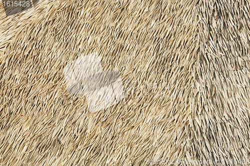 Image of thatch background