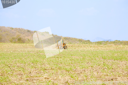 Image of Tractor plows a field preparing for the rice grow up in Panama