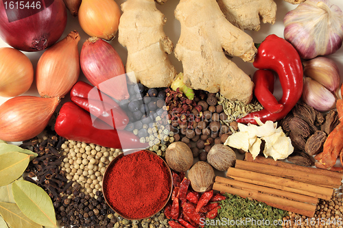 Image of Spices and herbs