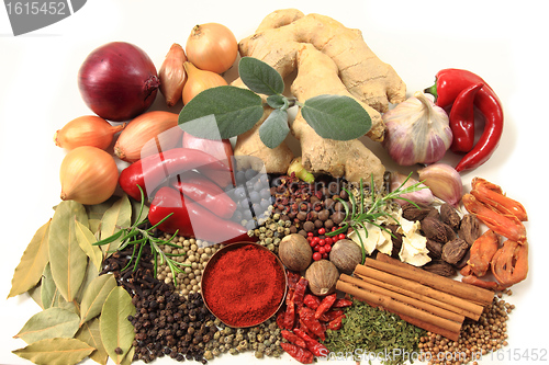 Image of Spices and herbs