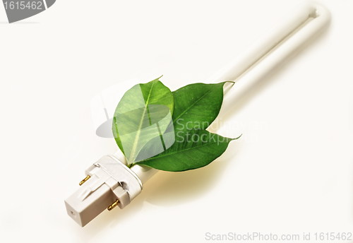 Image of Eco lamp energy saving with green values concept
