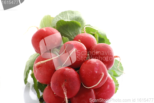 Image of bunch of fresh radishes isolated