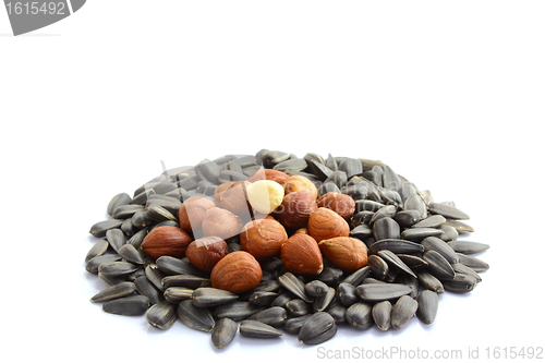 Image of handful of sunflower seeds and hazelnuts