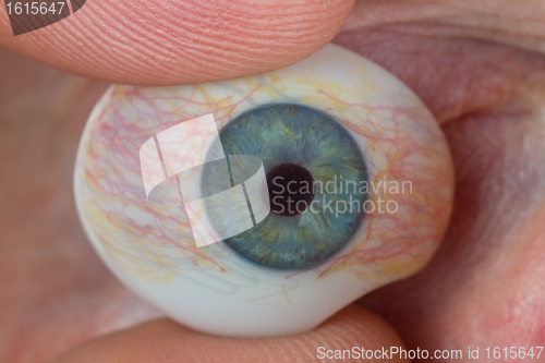 Image of Glass eye