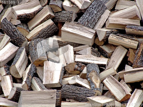 Image of Firewood pile