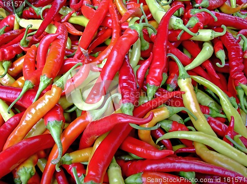 Image of Hot chilly peppers