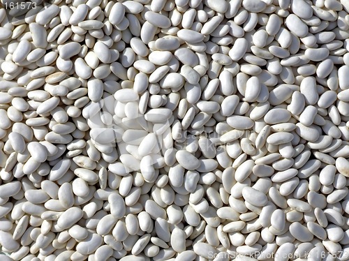 Image of White kidney beans