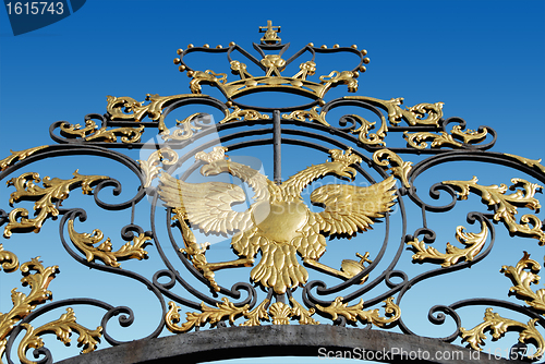 Image of Symbolic Golden Eagle