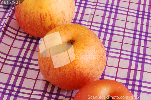 Image of Ripe red-yellow apples