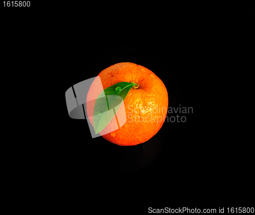 Image of Orange with a leaf