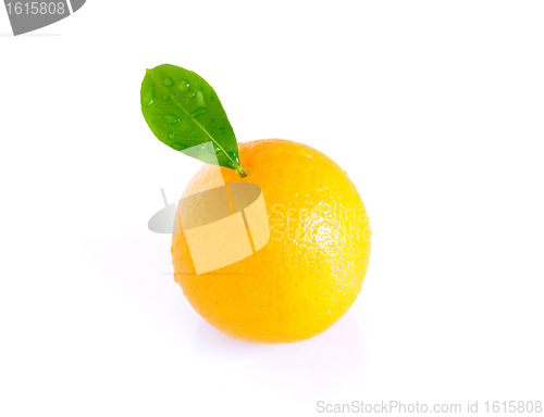 Image of Orange with a leaf
