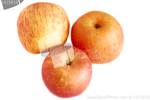 Image of Ripe appetizing  apples