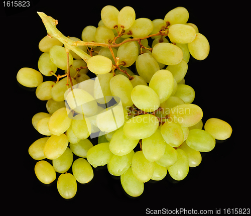 Image of Fresh ripe grapes