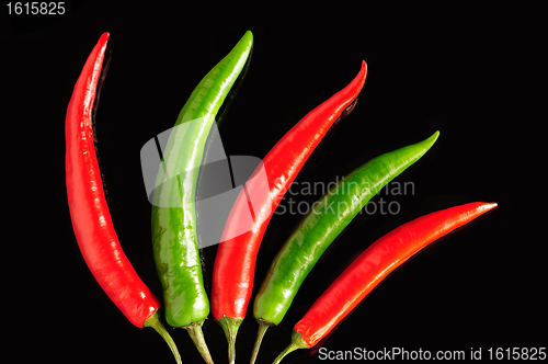 Image of Chili pepper pods