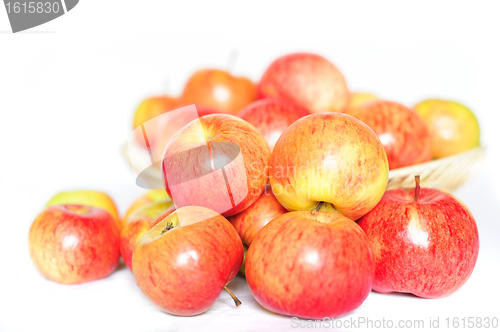 Image of Ripe red-yellow apples