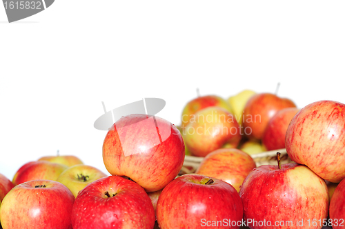 Image of Ripe red-yellow apples