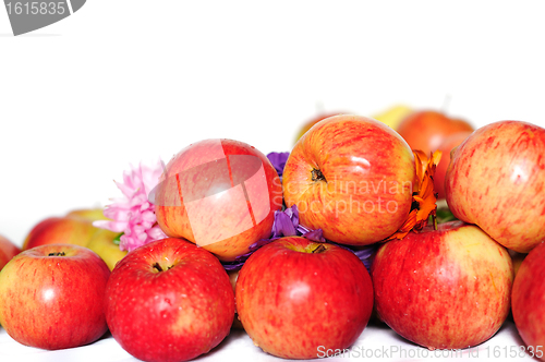 Image of Apples and flowers