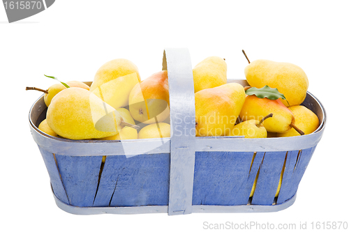 Image of Basket of Pears