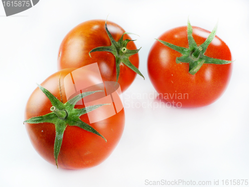 Image of Red tomatoes