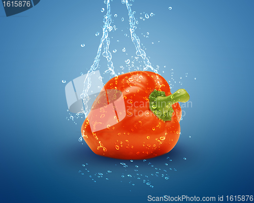 Image of Fresh red bell pepper