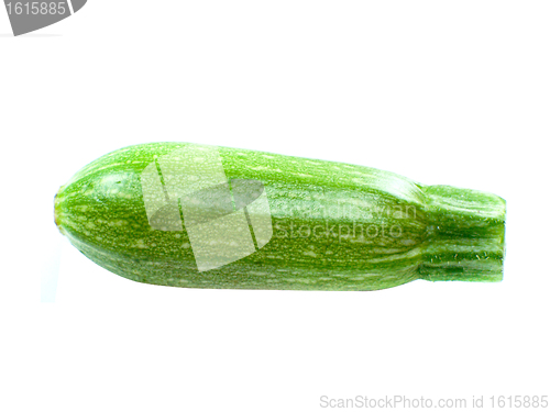 Image of fresh zucchini fruits