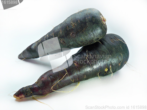 Image of fresh black carrots 