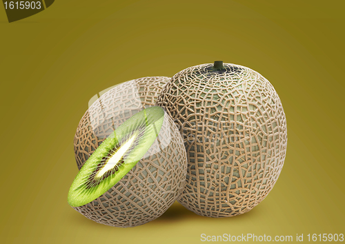 Image of Melon and kiwi inside