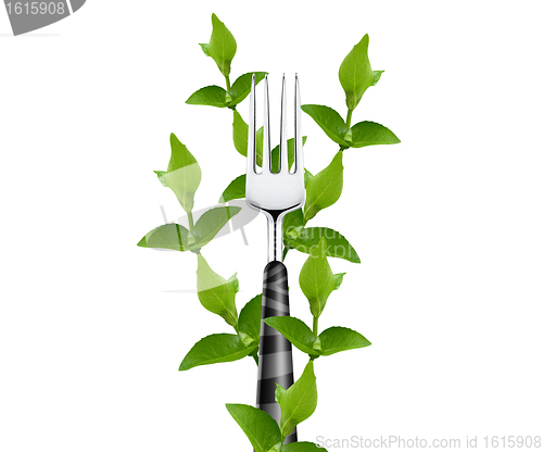 Image of green leaves around fork