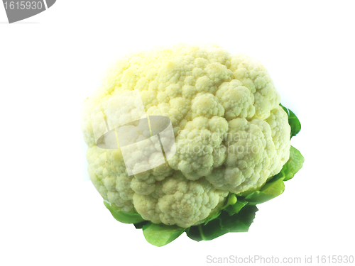 Image of Cauliflower