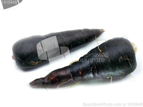 Image of fresh black carrots 