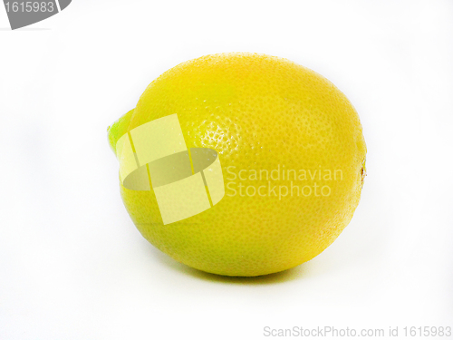 Image of Fresh limes