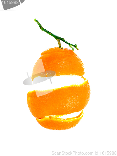 Image of Orange peel 