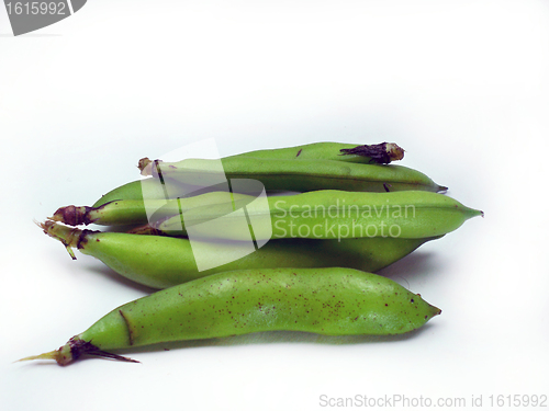 Image of broad beans