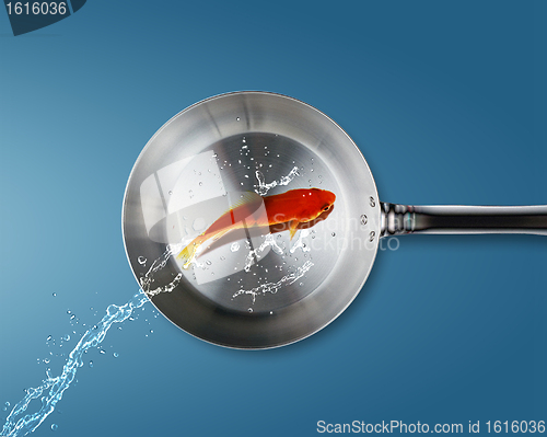 Image of Golden fish jumping to frying pan