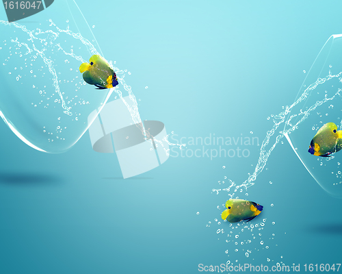 Image of angelfish jumping out of  fishbowl