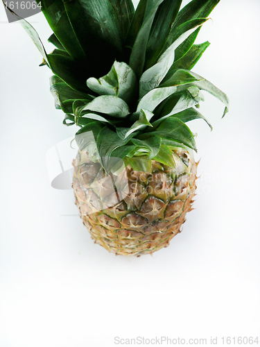 Image of Fresh pineapple 