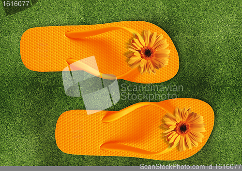 Image of Colorful Flip Flops on green grass