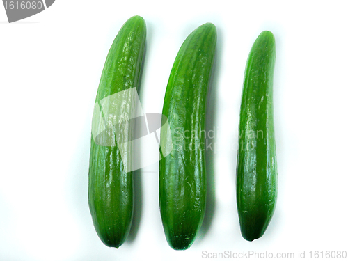 Image of Cucumber