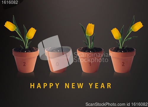 Image of Happy new year 2012