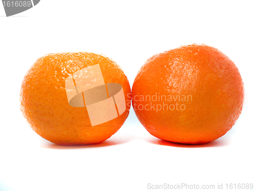 Image of Fresh Clementine