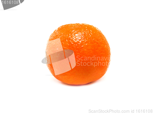 Image of Fresh Clementine